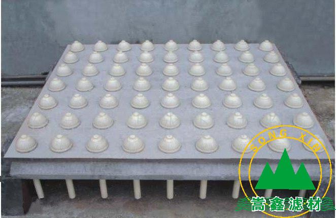 �������A�ƞV��